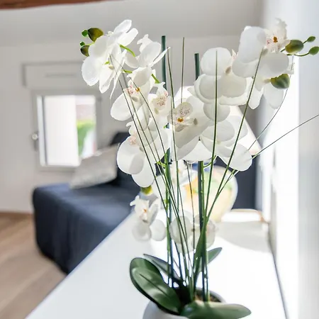 La Valliere, Maison Lumineuse Et Calme Pres Du Puydufou *